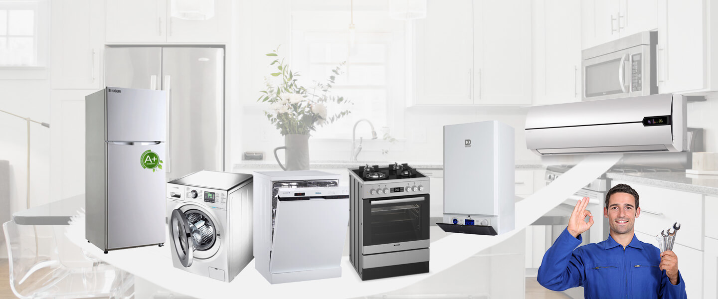 Bala Electrolux Servisi